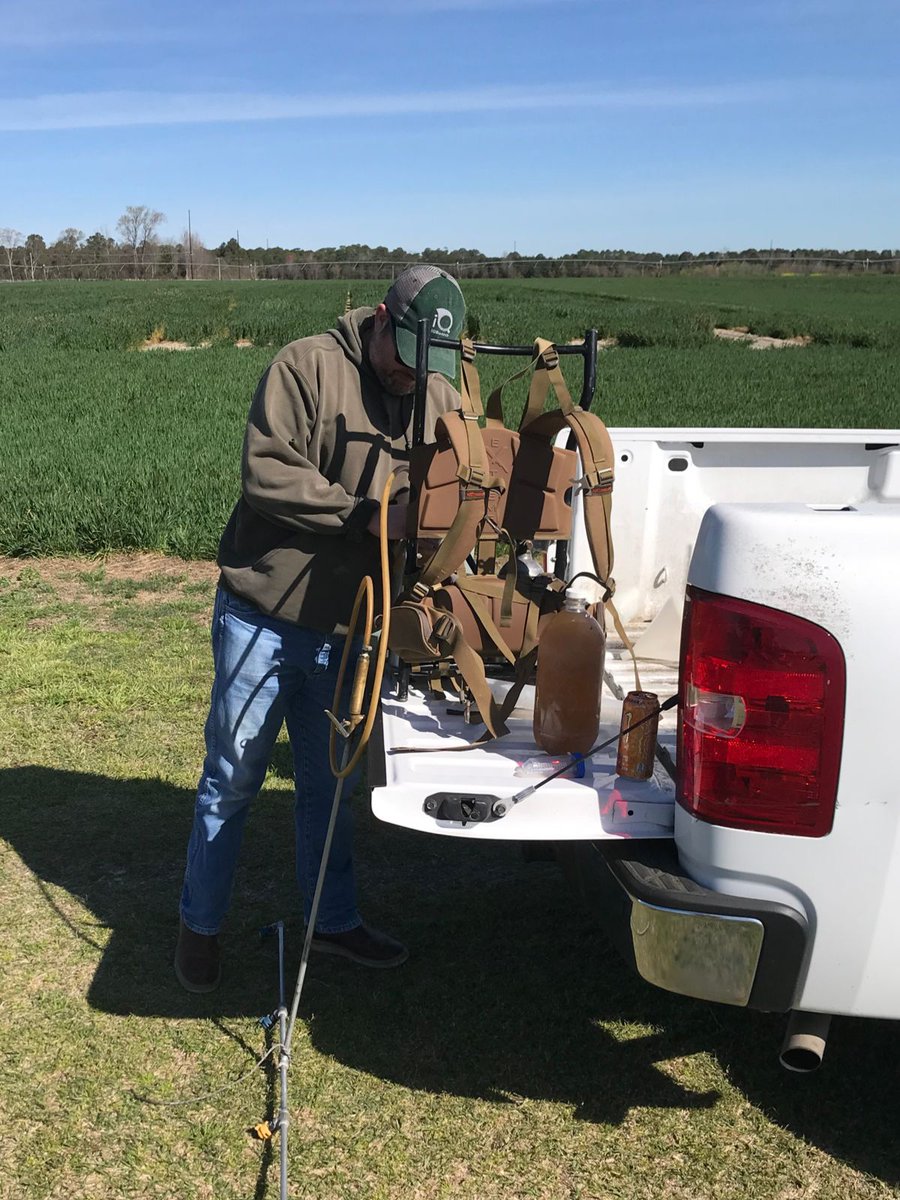 Wheat and oat plots getting their first #biostimulant application. 🌾🌱@iqbiotech
