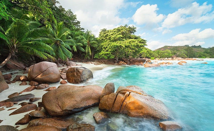 Nyrophine's tweet photo. Are you ready for a nice, tropical getaway?

Then look no further! The new season of @CenturySMP_Real, TropicoCentury, is starting now!

(Twitch in replies!)

#CenturySMP #TropicoCenturySMP #Minecraft #ModdedMinecraft #SmallStreamersConnect  #smallstreamer #pngtuber https://t.co/MW5FZUUng6