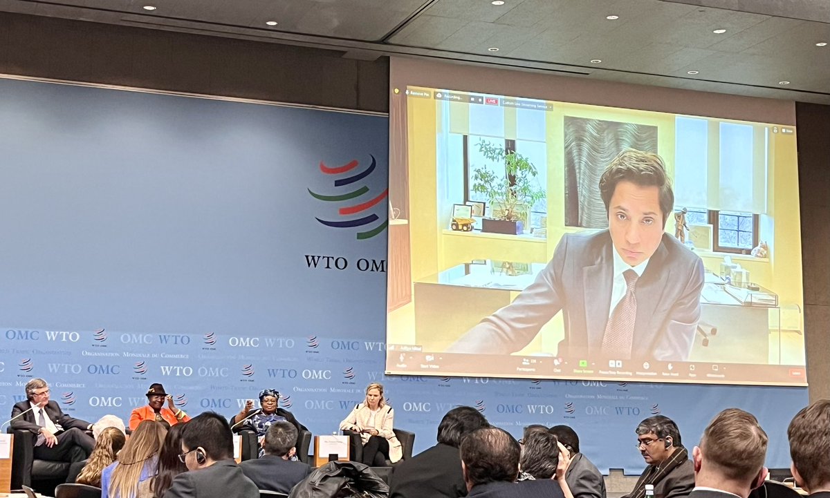 imma sardone tweet media