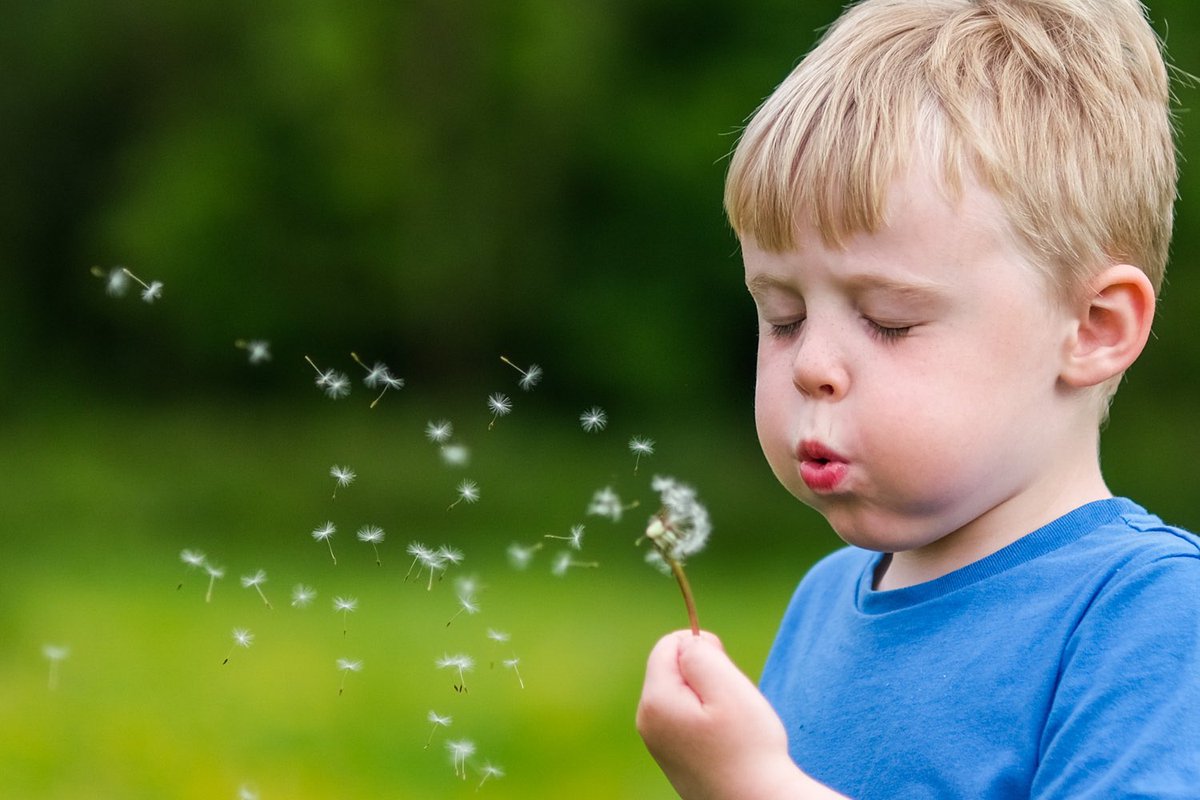 Simon Maycock tweet media