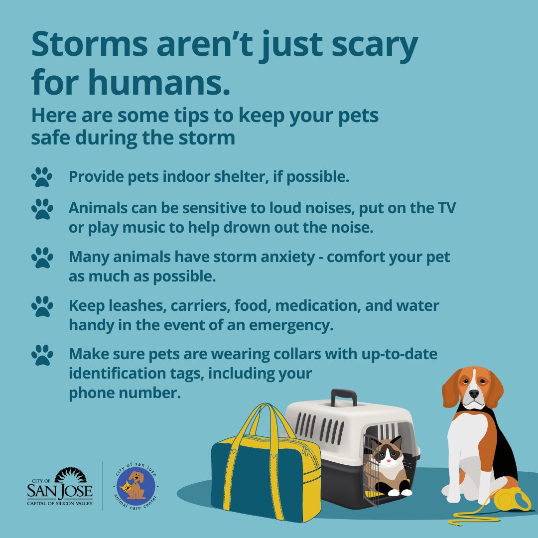 City of San José on Twitter "Here are some helpful storm preparedness tips for your pets."