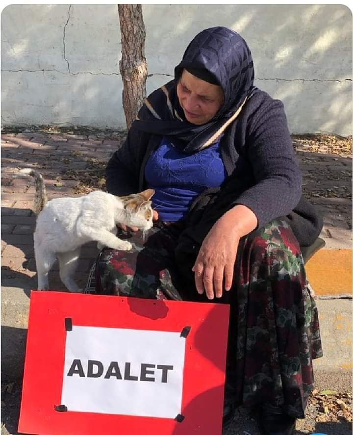 Emine anne ve oğlu Ferit şenyaşar Adalet Arayışında 3.yıla girdi.
#SenyasarAilesiİcinAdalet
@senyasarailesi