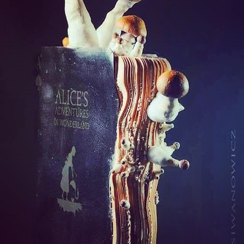 This is so cool! An abandoned Alice in Wonderland book has water damage and sprouted mushrooms. 
#Aliceinwonderland
Photo by Igor Siwanowicz #bookstagram #booknerd #bookgeek #becauseofreading #bookishfeatures #totalbooknerd #bookdragons #yalovin #bookblog #ilovebooks #bookish