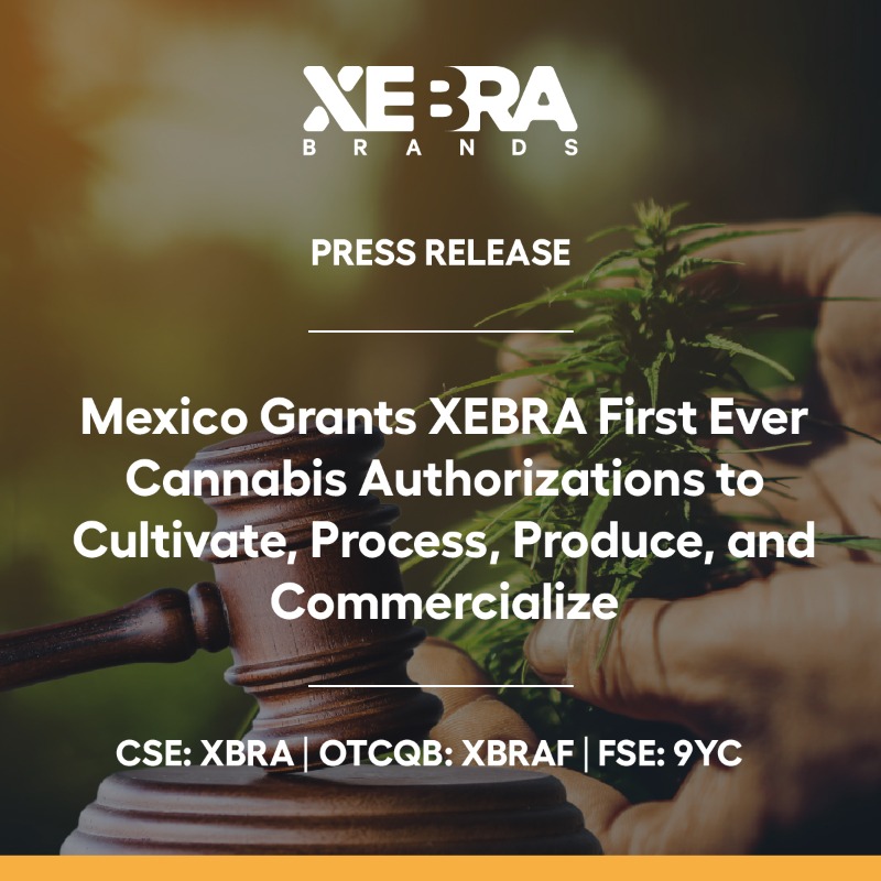 XebraBrands's tweet photo. Mexican Government Grants $XBRA Brands the first-ever cannabis authorizations for the cultivation, production, and national commercialization of #cannabis products.

The Mexican FDA, COFEPRIS officially issues corporate cannabis authorizations, among other approvals.

Learn more: