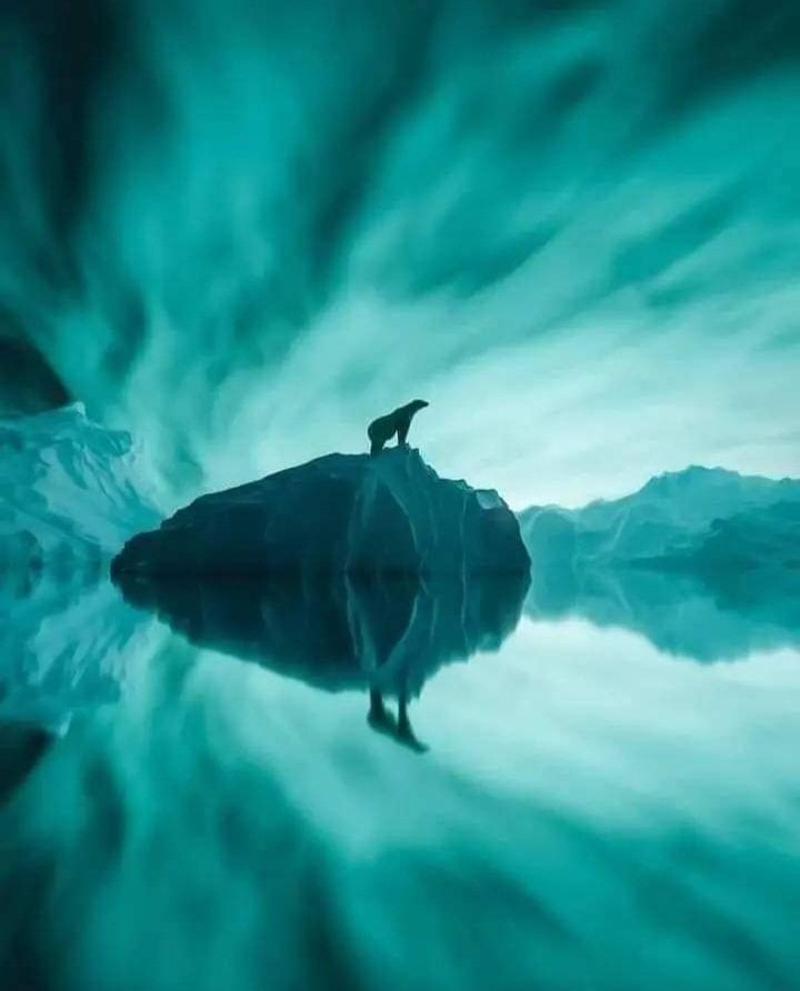 Natural moment ❄️💙💚🤍💫💫
Sweet Dreams world @/🌐🌬🌒