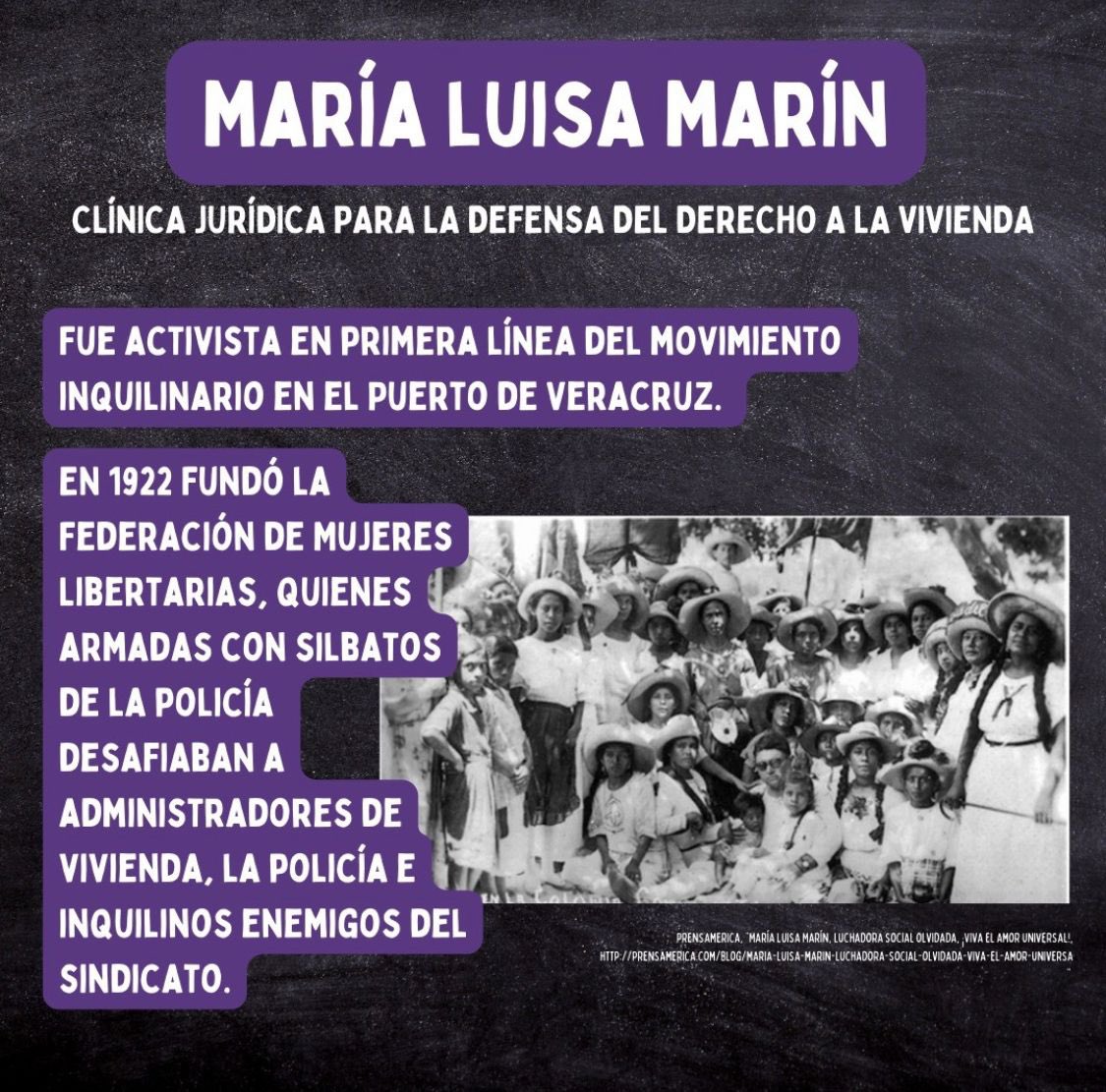 #8M En #IberoDerecho reconocemos el trabajo y esfuerzo de las mujeres que han defendido los Derechos Humanos desde distintos ámbitos. Por eso, en honor a su labor, tres de nuestras clínicas llevan el nombre de mujeres activistas y luchadoras sociales. ¡Conócelas!