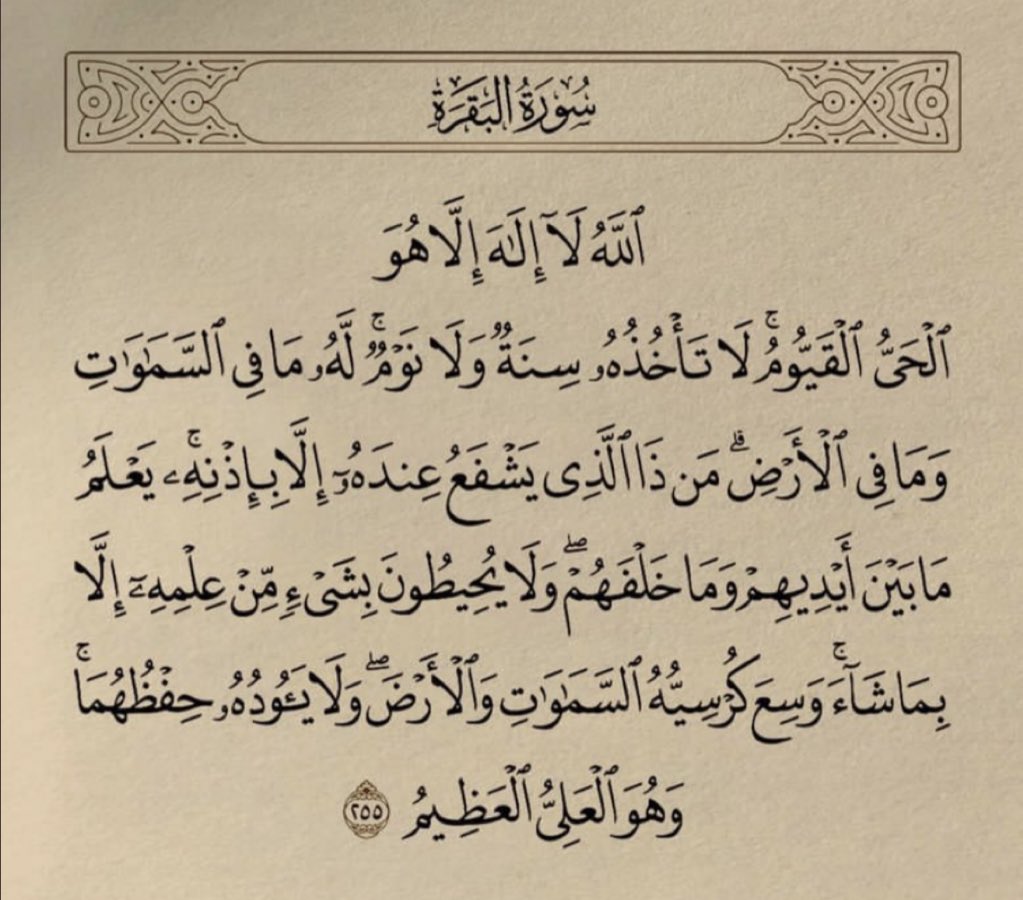 عَروب tweet media