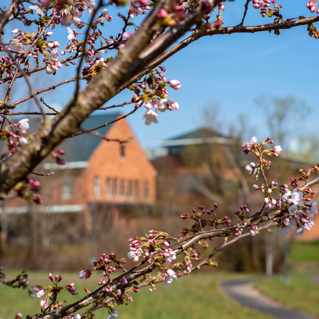 wsuvosi's tweet image. Spring Break is almost here! 
Both the Fitness and Rec Center will be closed through spring break 3/13-3/17! Ski and other equipment rentals are still available until Friday, 3/10, and can be returned Monday, 3/20, for the standard 2-day rental rate. 
Contact: Van.osirec@wsu.edu