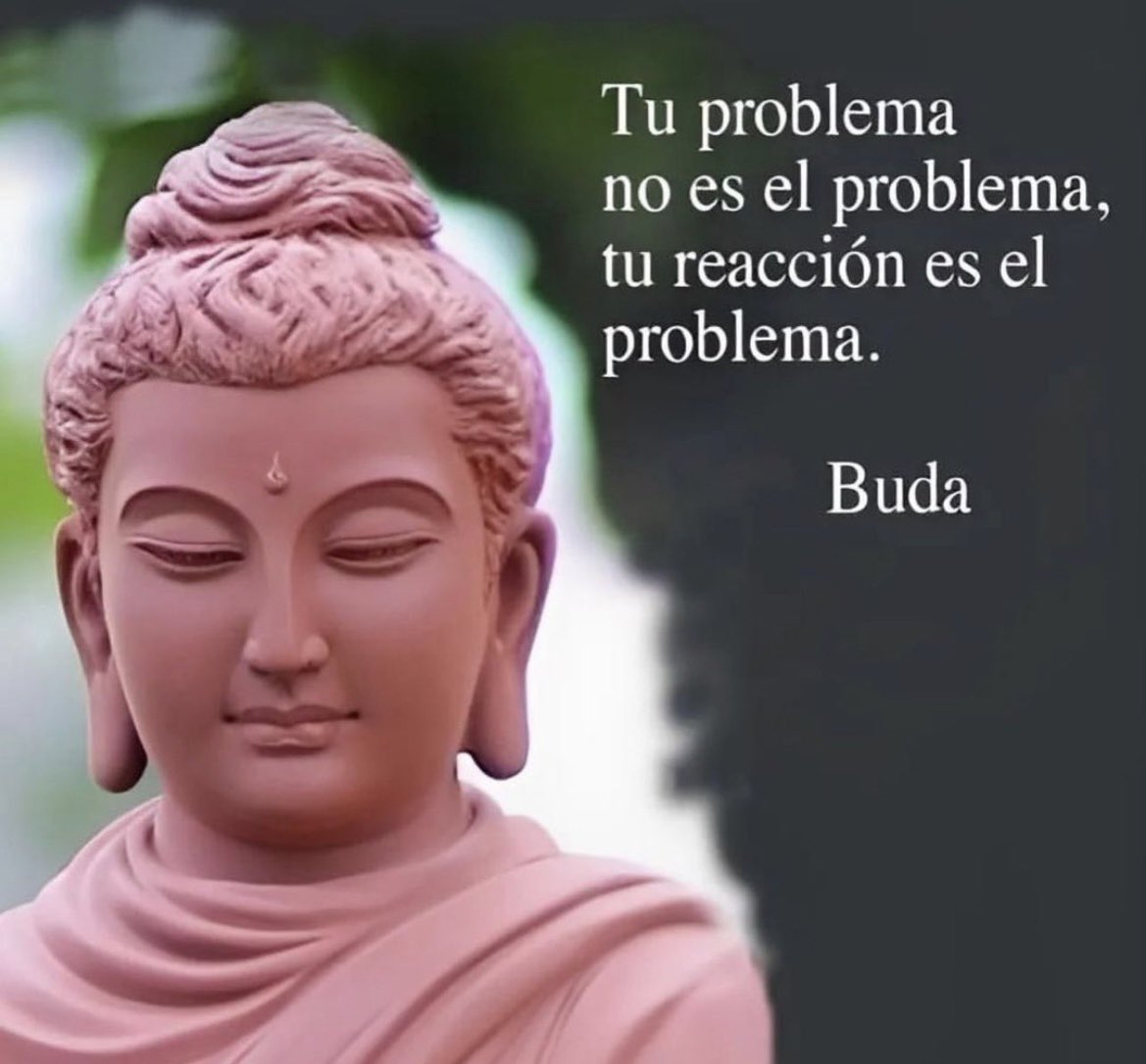 Sololuz5 tweet picture