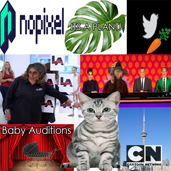 IndoorScream's tweet photo. Missed out on the last stream? Here is quick summary. 
No really.. this really did happen last stream. #Imbaby #Bottomofthepyramid #Content #OlderLady https://t.co/bakujlvOTs