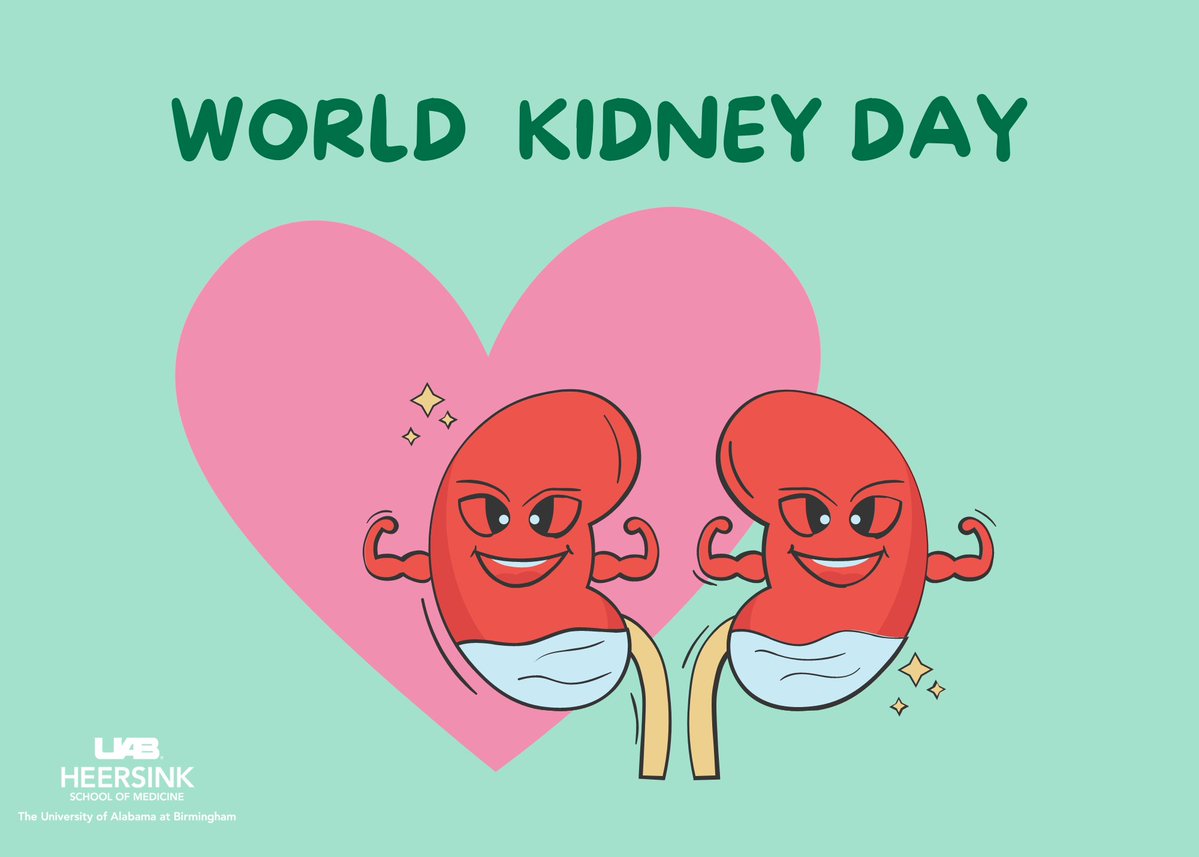 It's #WorldKidneyDay!

Why are kidneys so important? 

They remove waste and excess fluid from your body and are key components to ensuring your body has a healthy balance of water, sodium, and minerals. 💚

@UAB_NRTC @uabmedicine @UABHeersink @KUHPRIME