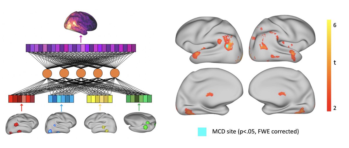 Mengting Fang tweet media