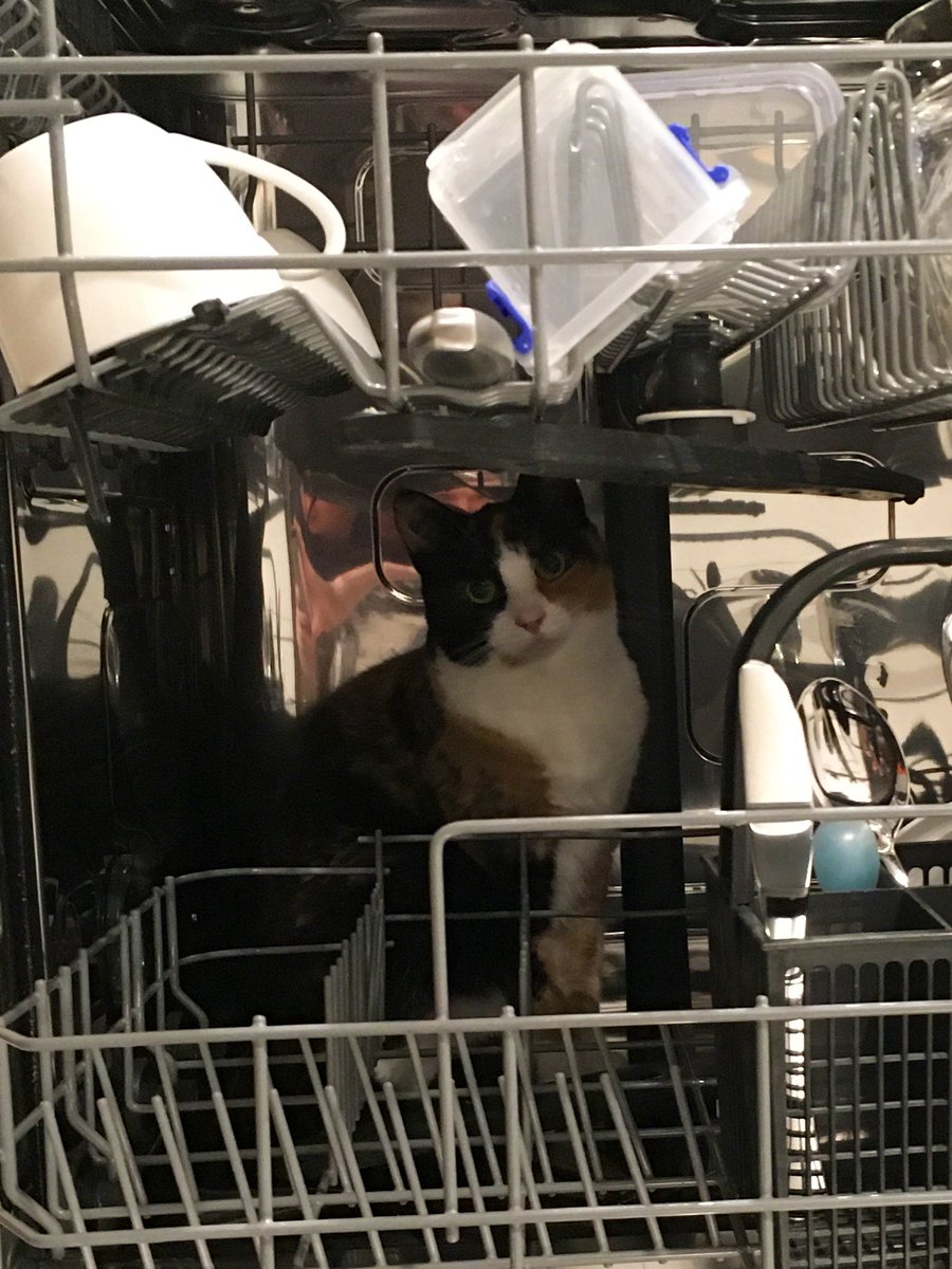 EasyWebThings's tweet image. TGIF? But no, so seriously, the dishes are not the social media managers job.