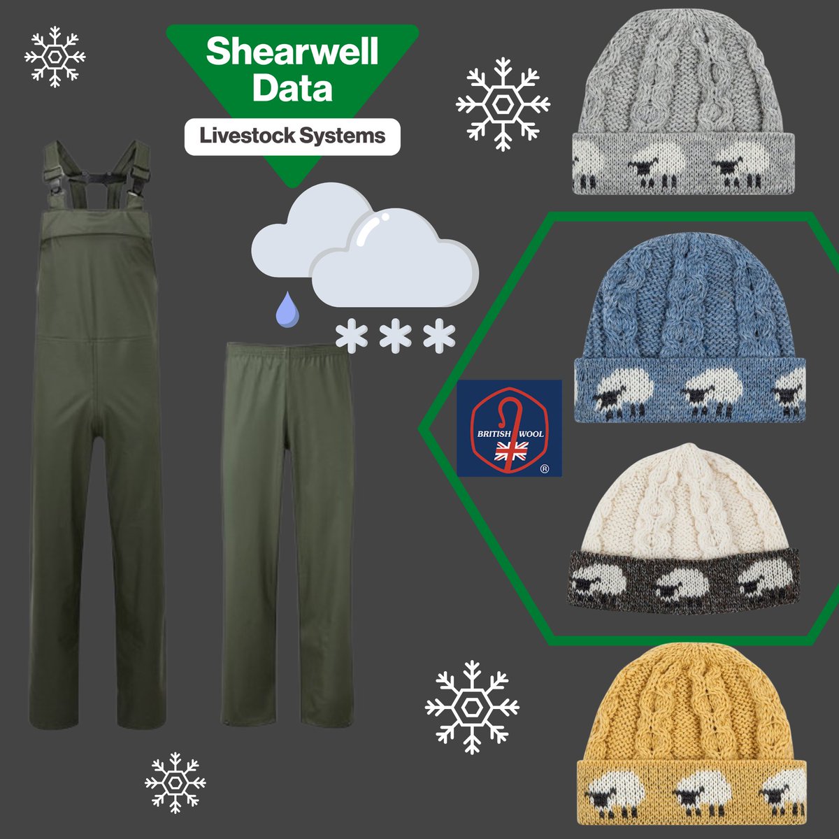 PyonProducts tweet media