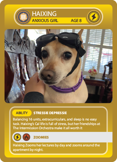 TIOatCal's tweet photo. Pets of TIO trading cards π₯° Can you collect them all?
#CalBigGive #TIOatCal https://t.co/PQ54Whl5da