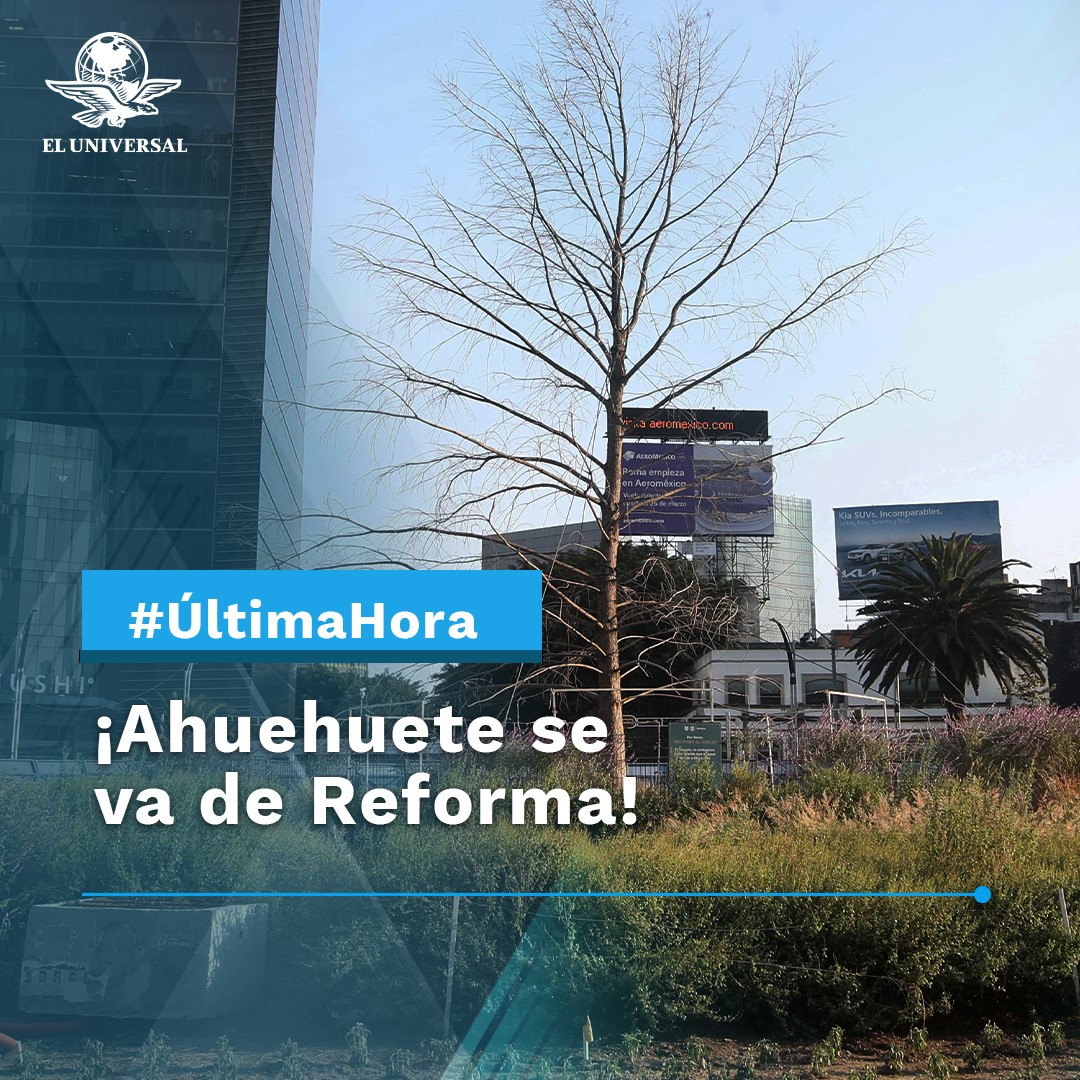 El Universal tweet media
