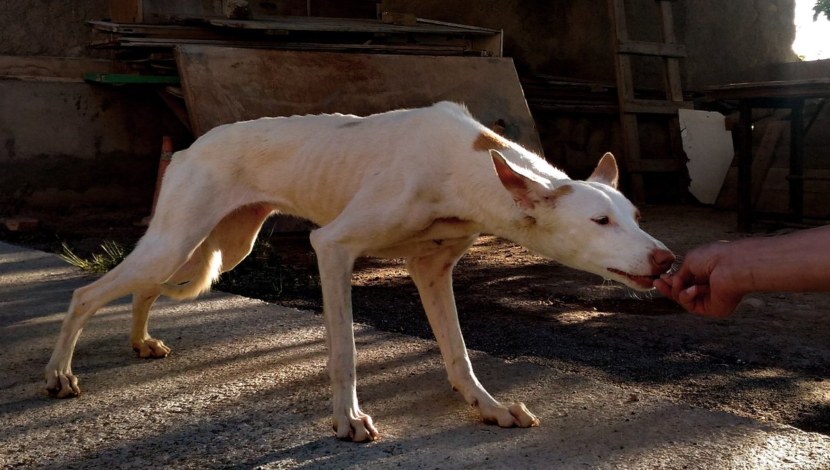 Aïda ヅ 🌱 tweet media