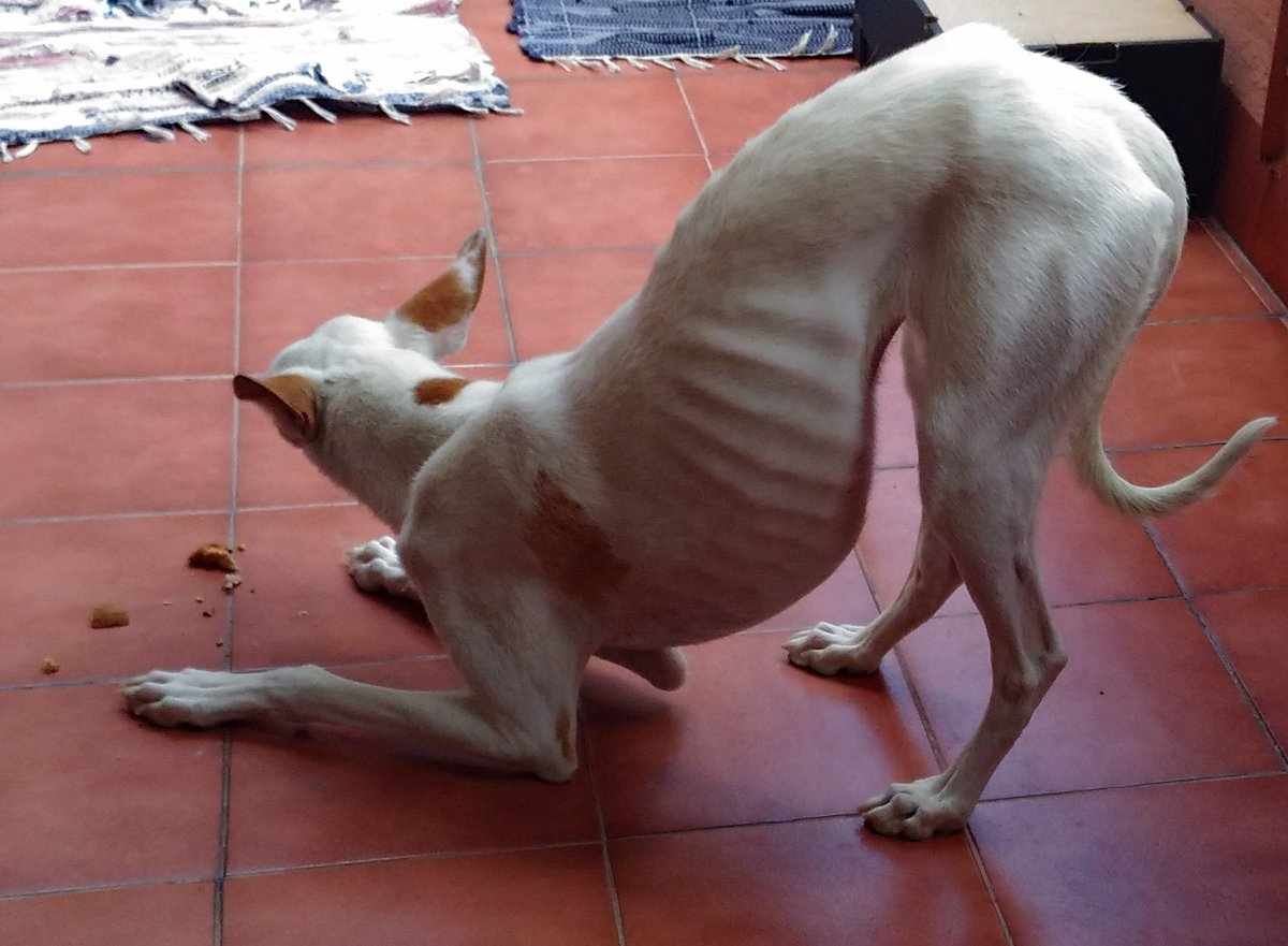 Aïda ヅ 🌱 tweet media