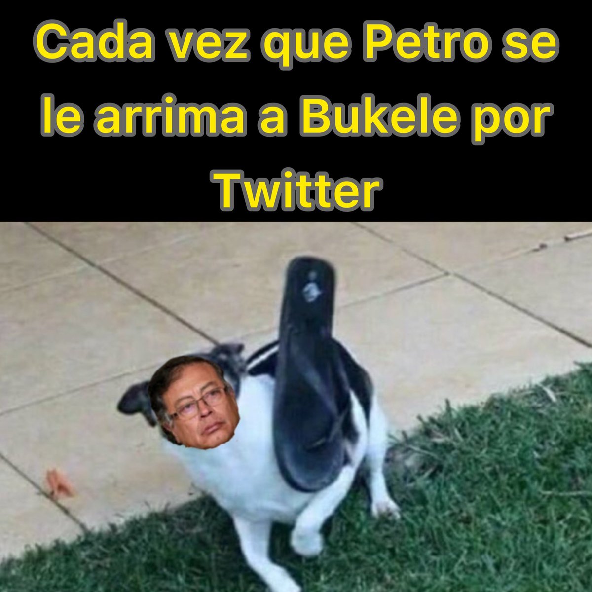 Ani Abello tweet media