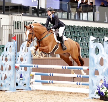 SMART Saddles March Newsletter -  Jump into 2023https://mailchi.mp/smartsaddles.com/smart-saddles-march-newsletter