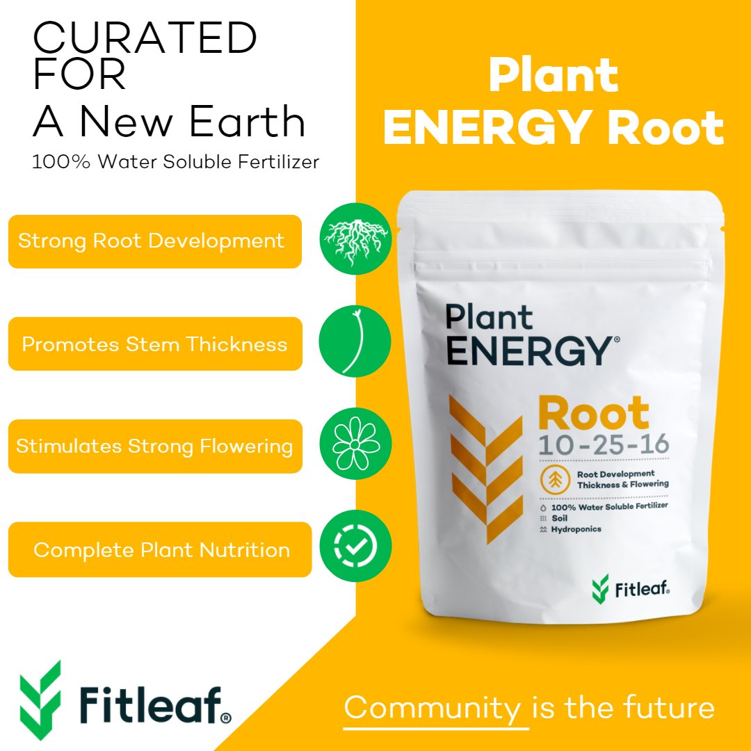Fitleaf1's tweet photo. Change can be challenging, but only because of our already-established habits... If we teach consciously, our kids will bring about a generational change! #gardening #vegetablegarden #growfood #gardeningmemes #consciousness https://t.co/VEKgH2AlYn