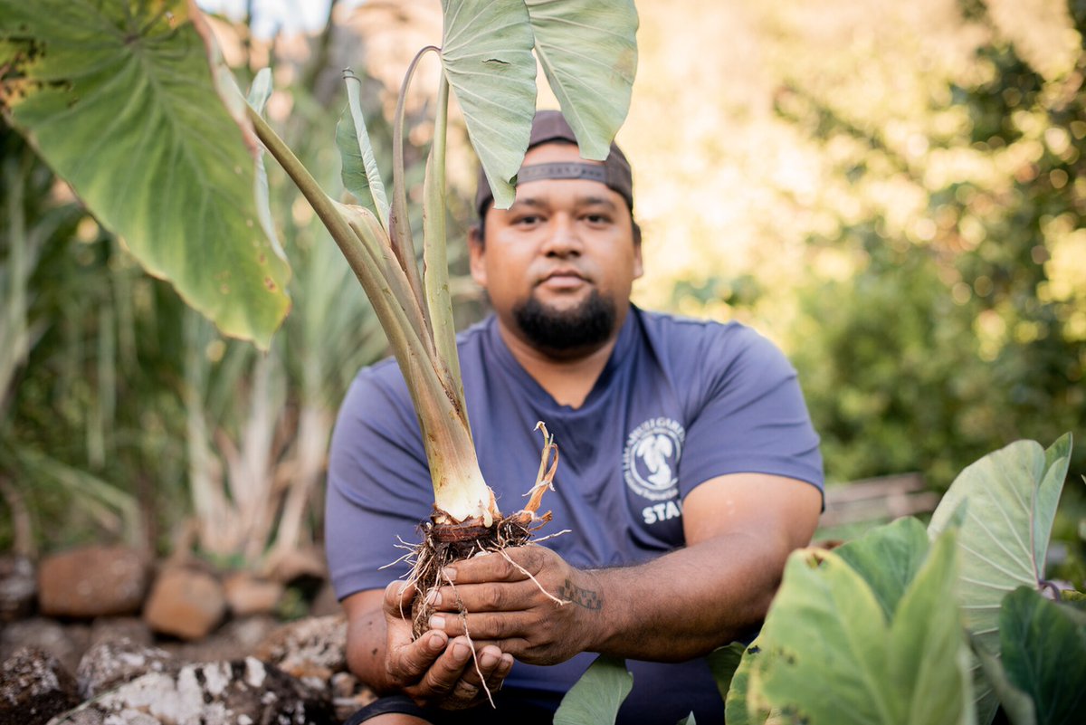 National Tropical Botanical Garden on Twitter "In the Hawaiian