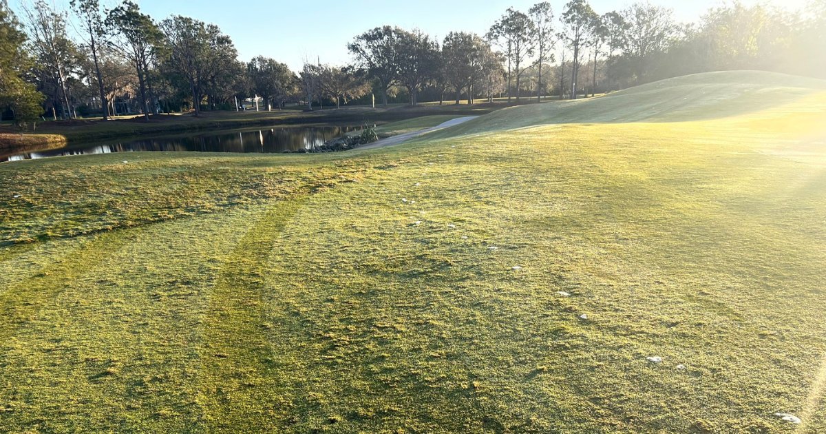 This winter has been a milder one.❄️

Dr. Jeff Atkinson and Dr. Paul Giordano developed a list of the top 6 early-season turf recommendations to help your turf while waking up earlier than "normal." ☀️

Read the tips on our blog: harrells.com/Blog/Post/top-…