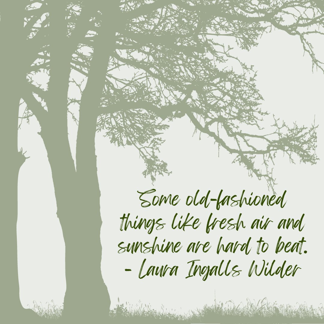 WoodPergolaKits's tweet image. The Earth has music for those who listen. - George Santayana 
#nature'smelody #listentonature #naturequotes #outdoorlife #earthyvibes #peacefulmind  #beautyofnature #getlostinthewoods #naturalbeauty #freshairandfreedom