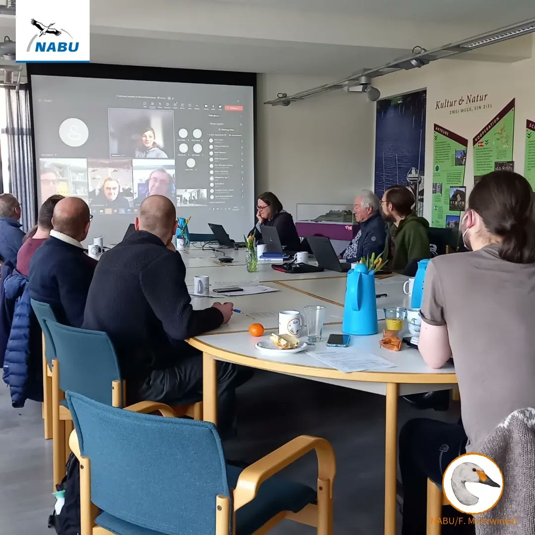 bewickiiontour's tweet photo. International Workshop Part 2: Our early birds visited a night roost, we heard lots of interesting talks, had a lovely field trip by covered wagon (note #Bewick's in the background!) and now we finish it off with some delicious food by @HotelzurTreene again. 😊 https://t.co/OAKvgw4xzM