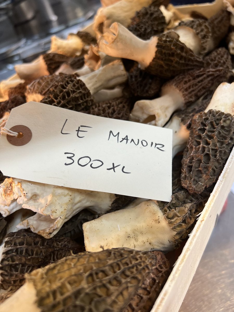 .<a href="/lemanoir/">Le Manoir aux Quat'Saisons, A Belmond Hotel</a> manoir What a joy to welcome back some magical produce such as the first morilles, inviting  the spring to come in and with it,the creation of new dishes
with the gifted executive chef  <a href="/lucas_selby/">ldr1</a>