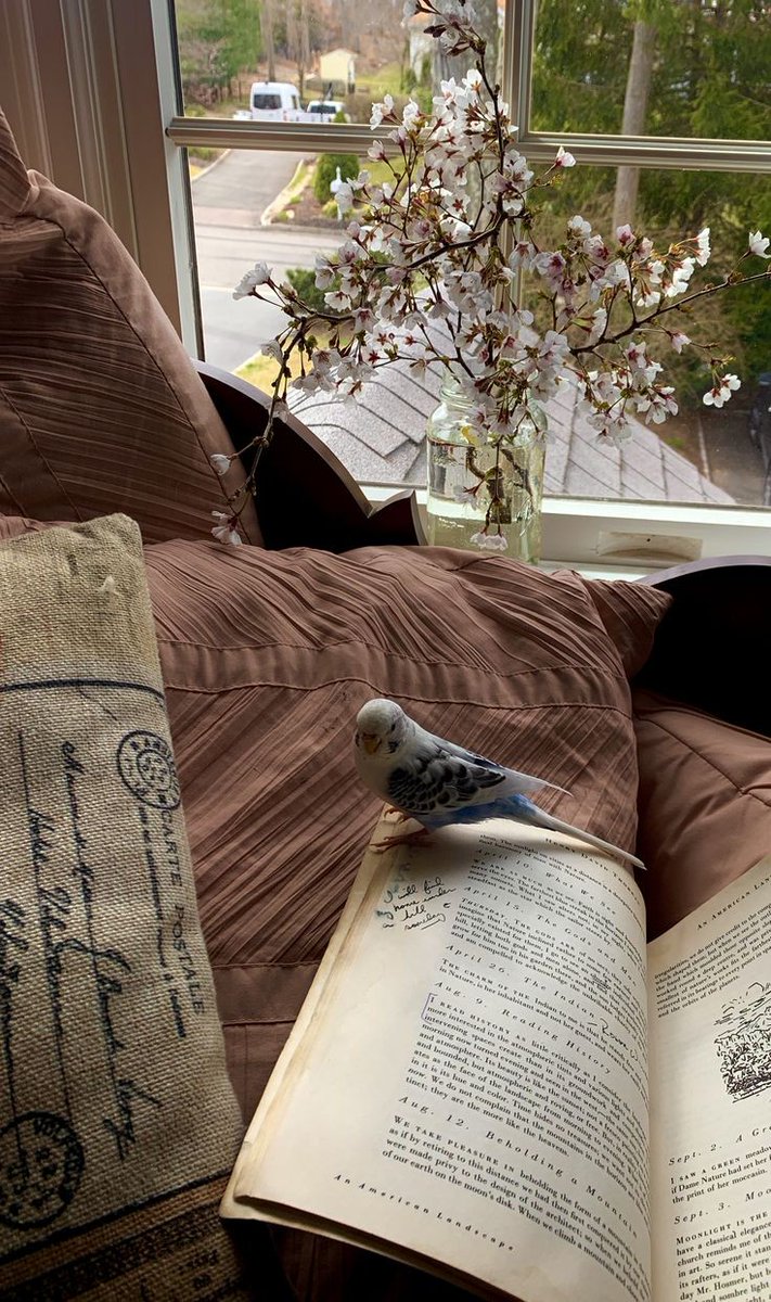 nur (@thtrainwreck) on Twitter photo 