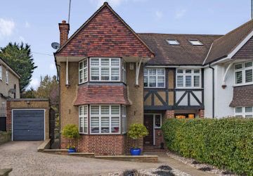 Real Estates tweet media
