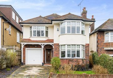 Real Estates tweet media