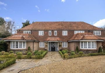 Real Estates tweet media