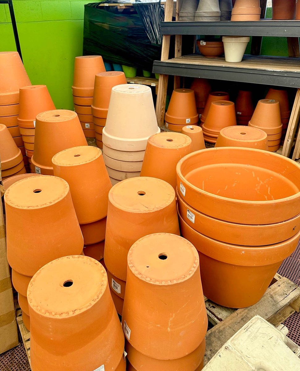 Pansies are here! Stop by to get some this week.

Our rooftop garden is preparing to open back up with more plants and flowers by next Saturday so mark your calendars.