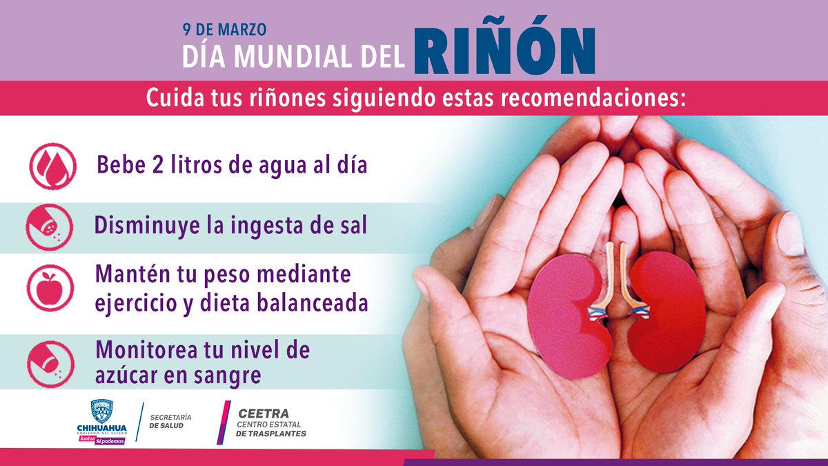 El Día Mundial del Riñón es una campaña global de concientización sobre la importancia del cuidado de los riñones para tu salud. Te invitamos a aprender a cuidar tus riñones manteniendo hábitos saludables #Juntossípodemos