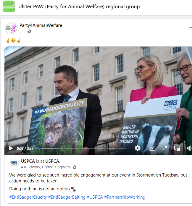 AnimalPartyIE's tweet photo. We were glad to see such incredible engagement at our event in Stormont on Tuesday, but action needs to be taken. 
Doing nothing is not an option.🐾
#EndBadgerCruelty #EndBadgerBaiting #USPCA #PartnershipWorking
@USPCA_Official 
#NorthernIreland https://t.co/jMe7D2a7iJ