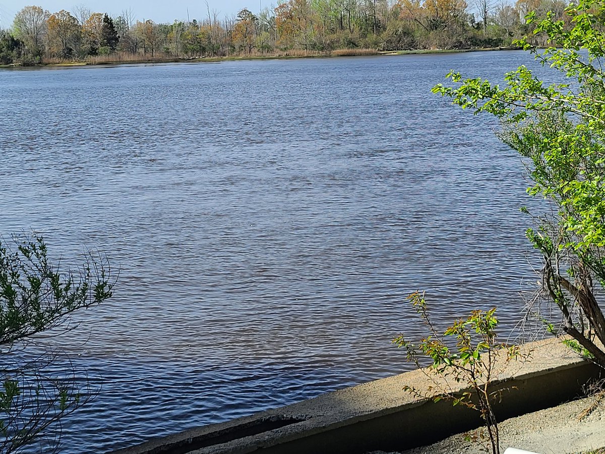 CelesteGSmithTv's tweet photo. @CapeFearRiver is gearing up for Cape Fear Creek Week that will kick off on Monday, March 13. It's being held thanks to a collaboration with other local environmental organizations to celebrate the creeks, rivers, and streams in the region.  More on this tonight on @WWAY https://t.co/DX60d6iVHI