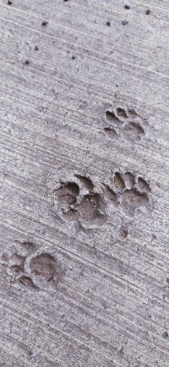 İz bırakanlar vardır bir de unutulanlar.