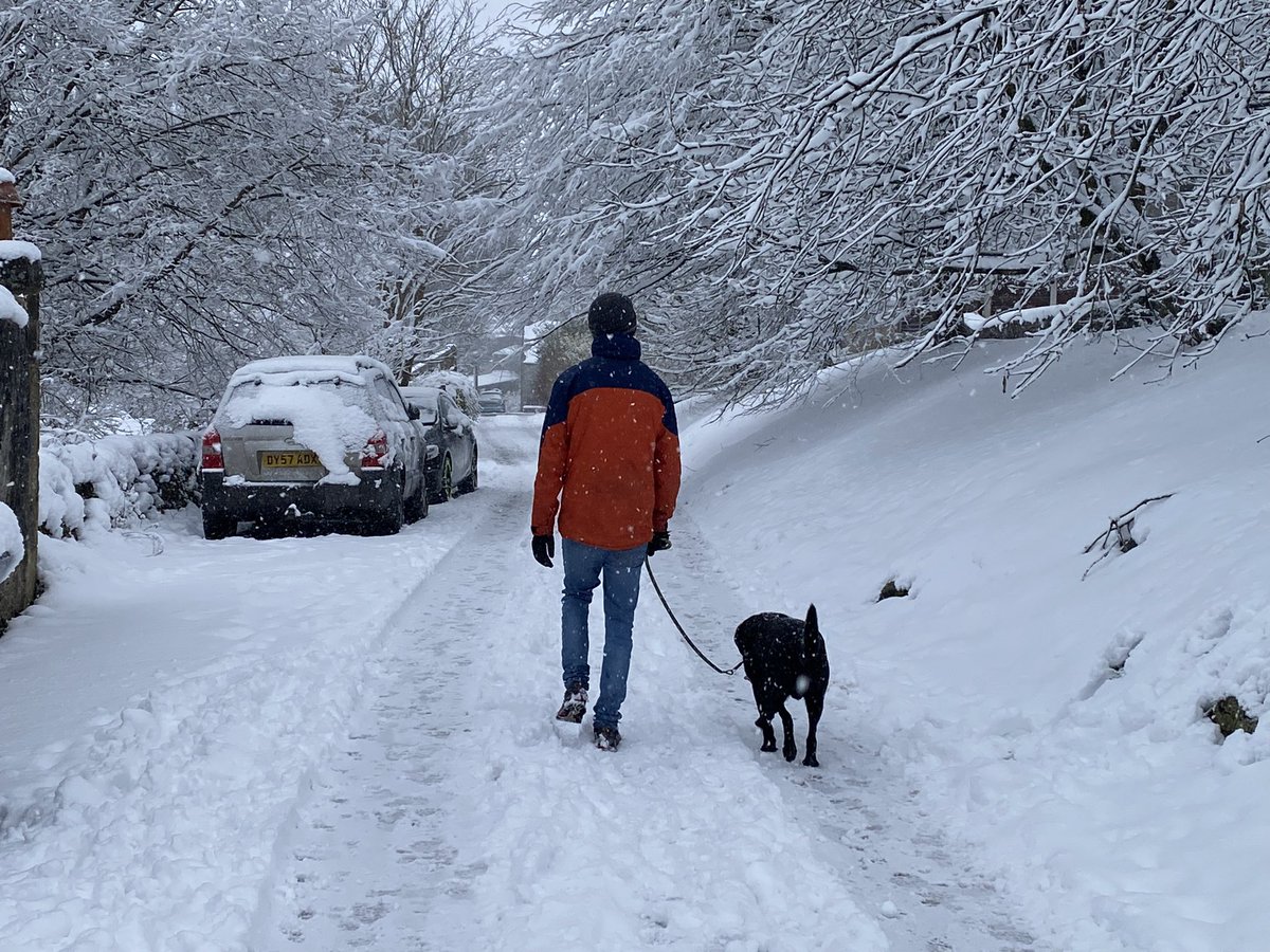 Walkin’ in a winter wonderland ❄️