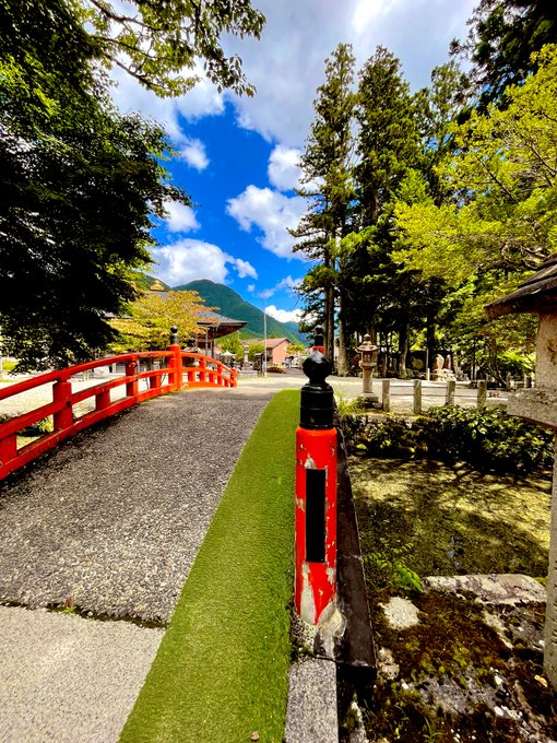 おはようございます☀【花粉症】沖縄や北海道は花粉症がないんです子どもと花粉症について勉強しました身体の中で細胞達が頑張っ