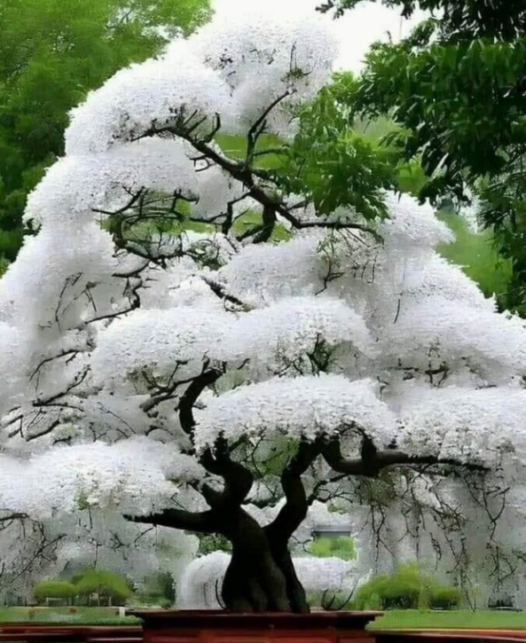 SmQuee's tweet photo. When you are living in a bad environment. You will need to be able to adapt to your new environment and find a way to make it work for you so you can shine. This can include learning new skills, making new connections, and finding ways to make yourself stand out. https://t.co/qti4JSa1Pu