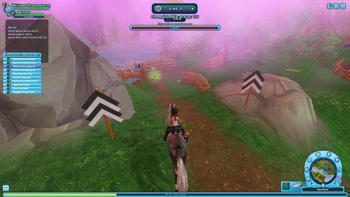 Little_Laineth's tweet photo. Day 4 of posting cheaters from @StarStable untill there is a solution that prevents this. https://t.co/Nx85laIFoy