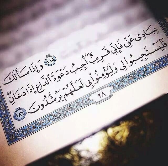 ﴿فإنّي قريبٌ﴾   أنت المقصود ، سيستجيب لك قريبًا. قل يارب