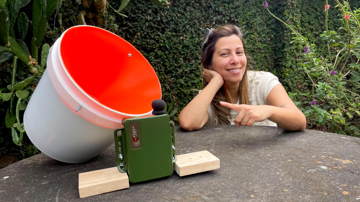 Dan Mennill (@dmennill) on Twitter photo To monitor birds in migration, Natalie is deploying bucket baffle recorders at key sites in Costa Rica. Follow <a href="/Nati_SanchezU/">Dr. Natalie V. Sánchez</a> for tweets about the tweets we record! 🐦🎶🎙️🇨🇷
A collaborative project with <a href="/MitacsCanada/">Mitacs</a> <a href="/BirdsCanada/">Birds Canada</a> & <a href="/WildlifeAcoust/">Wildlife Acoustics</a> with <a href="/BirdsCanada/">Birds Canada</a> & <a href="/gdfcf_org/">Guanacaste Dry Forest Conservation Fund</a>. To monitor birds in migration, Natalie is deploying bucket baffle recorders at key sites in Costa Rica. Follow <a href="/Nati_SanchezU/">Dr. Natalie V. Sánchez</a> for tweets about the tweets we record! 🐦🎶🎙️🇨🇷
A collaborative project with <a href="/MitacsCanada/">Mitacs</a> <a href="/BirdsCanada/">Birds Canada</a> & <a href="/WildlifeAcoust/">Wildlife Acoustics</a> with <a href="/BirdsCanada/">Birds Canada</a> & <a href="/gdfcf_org/">Guanacaste Dry Forest Conservation Fund</a>.