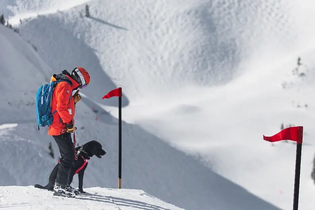 On International Women's Day, I swallowed some fear and joined a group of kickass chicks on skis (the fat ones), pushing comfort zones from the early gondola to the end-of-day sweep.

By pure coincidence, the Kicking Horse Mountain Resort Ski Patrol host… instagr.am/p/CplGP_avoRo/