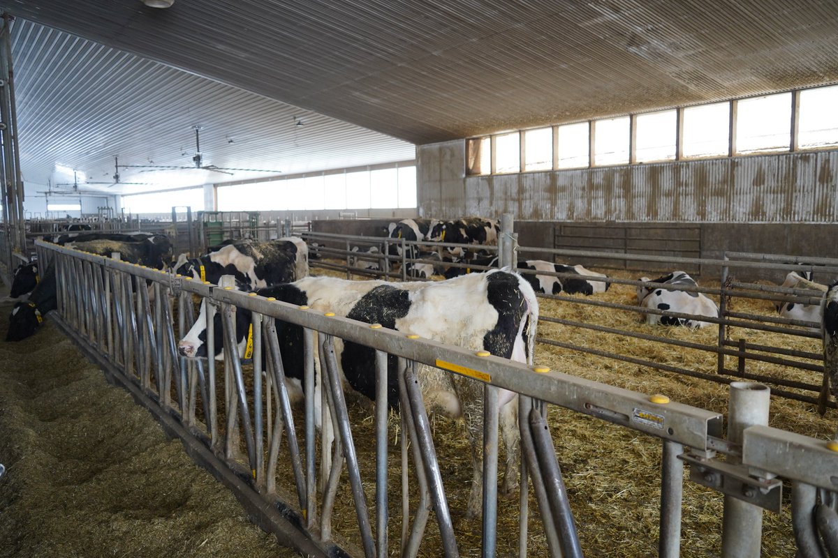 Calgary Food & Farm Tour! 🚜 🐄 Some of our team members along with dietitians and food professionals made our way across 4 stops including a dairy farm, vertical farm, grain farm and @SunterraMarket for lunch! Farm tour thanks to @FarmFoodCareSK @CDNFoodFocus and @chocoholicRD