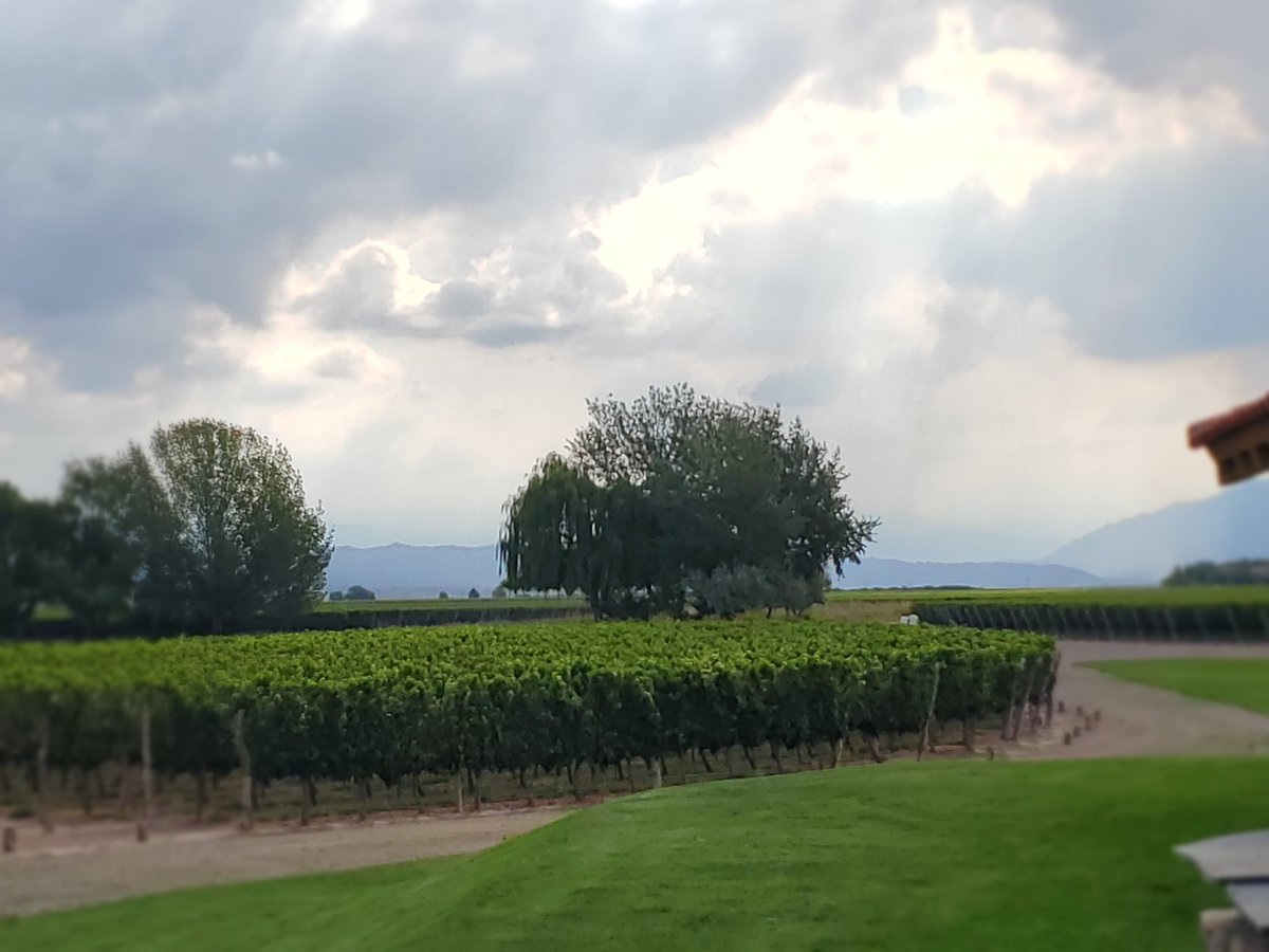 tierradelvino's tweet photo. #Mendoza  no me digas nada más , es m��gico @FincaDecero Gracias 🍷🍷#winelovers , Gracias @MarsusMarcelo https://t.co/si7Zpxu8ea