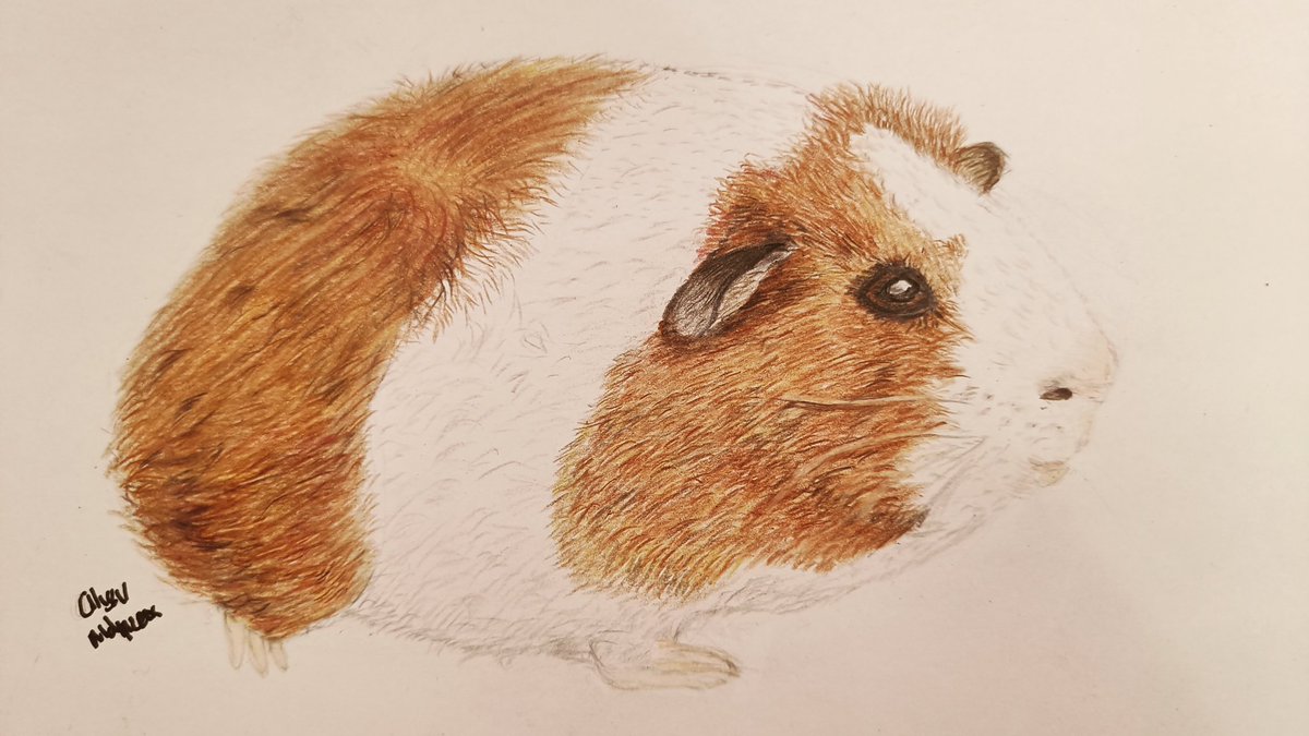 Amolyneux01's tweet photo. Finished my first portrait of one of our Furry Friends https://t.co/gVfJZbFnum