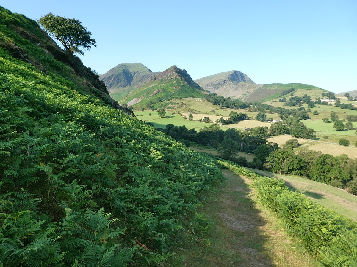 Design_York's tweet photo. Some photos from the #LakeDistrict walk which inspired my #NewlandsValley  print. A bit warmer than today!  I walked from #LittleTown up to #DaleHead. Then back via Maiden Moor, towards Cat Bells. Lots more in my blog: https://t.co/mn0d5qtdjq

#Cumbria #GetOutside #landscape https://t.co/KGvh6dyhKd